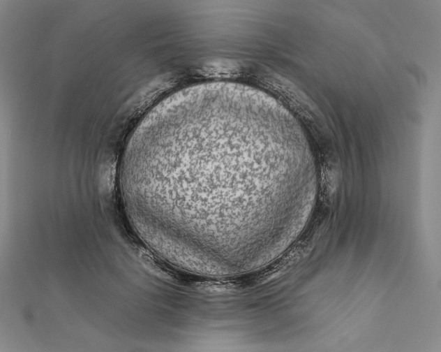X0000112070652200908251043