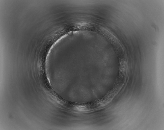 X0000112070653200908251043
