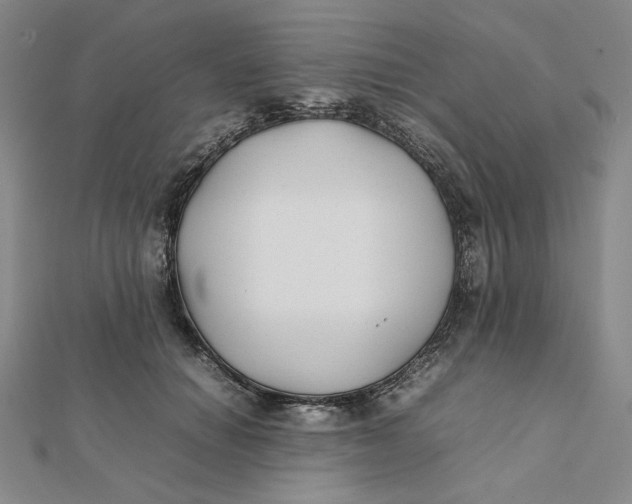 X0000112070654200908251043