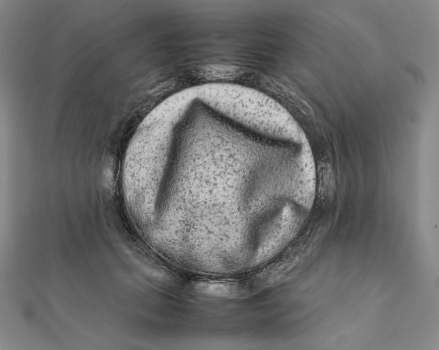 X0000112070655200908251043