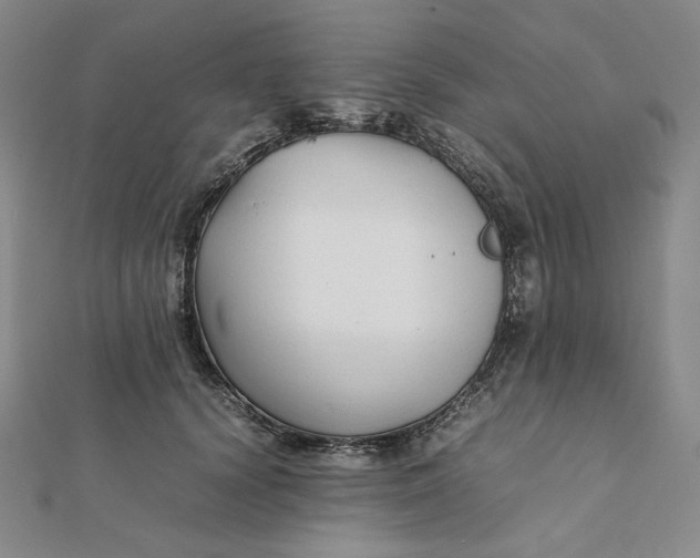 X0000112070656200908251043