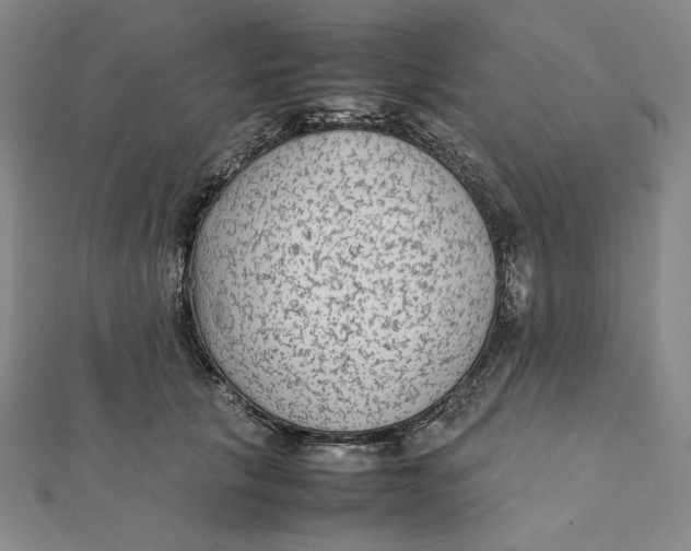 X0000112070657200908251043