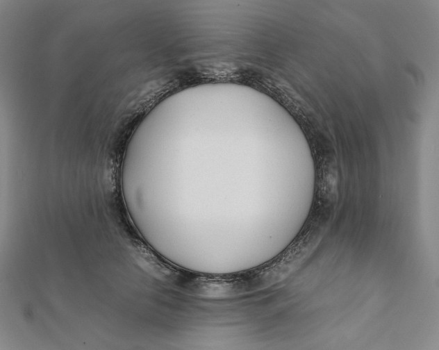 X0000112070658200908251043