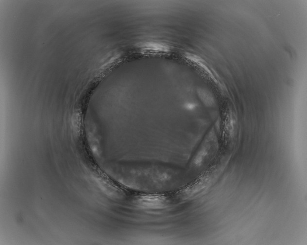 X0000112070659200908251043