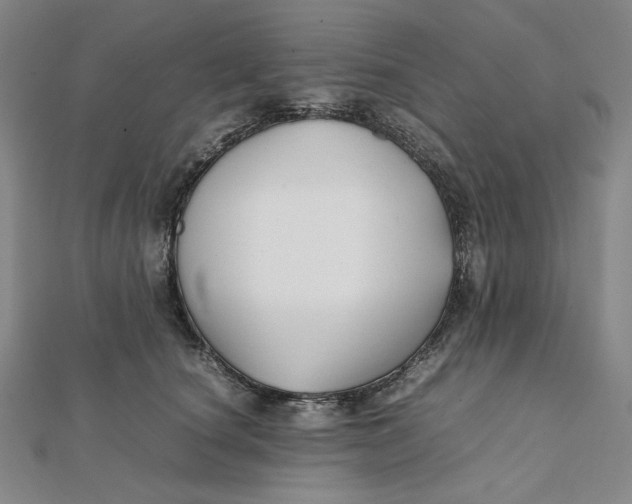 X0000112070660200908251043