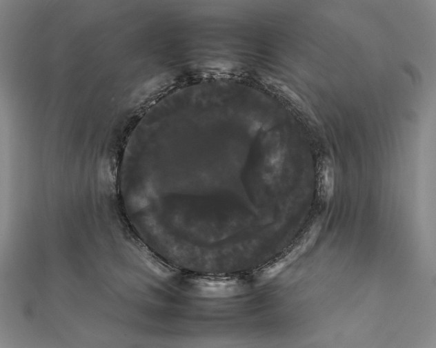 X0000112070661200908251043