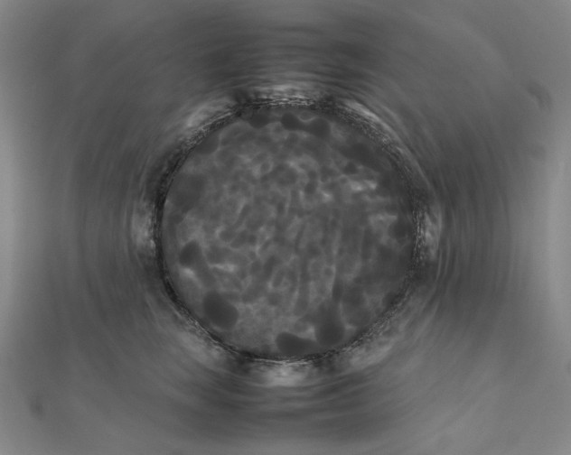 X0000112070663200908251043