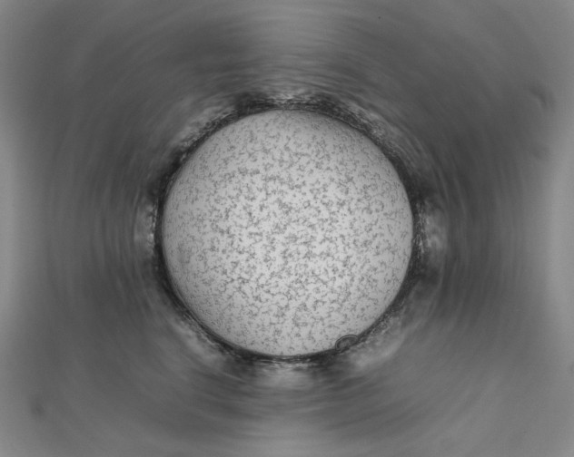 X0000112070664200908251043