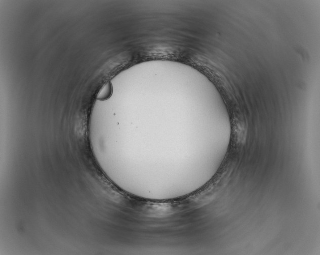X0000112070665200908251043