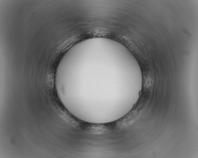 X0000112070666200908251043