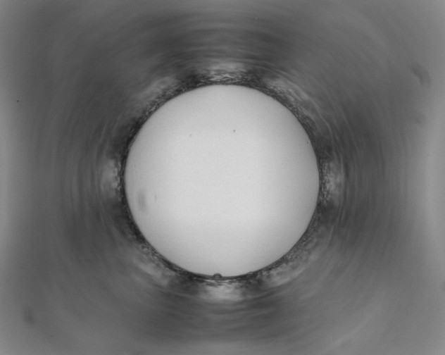 X0000112070667200908251043