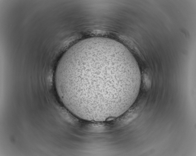 X0000112070668200908251043