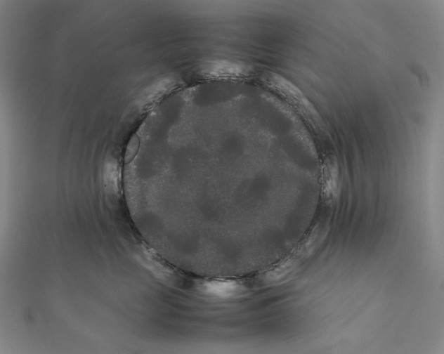 X0000112070669200908251043