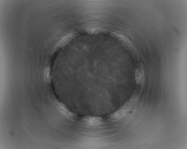 X0000112070670200908251043