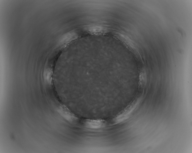 X0000112070671200908251043