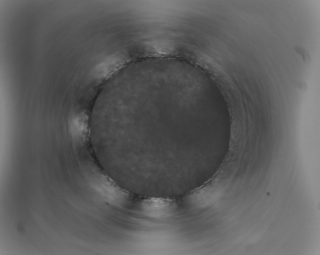 X0000112070672200908251043
