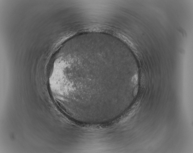 X0000112070673200908251043
