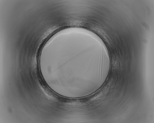X0000112070674200908251043
