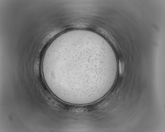 X0000112070675200908251043