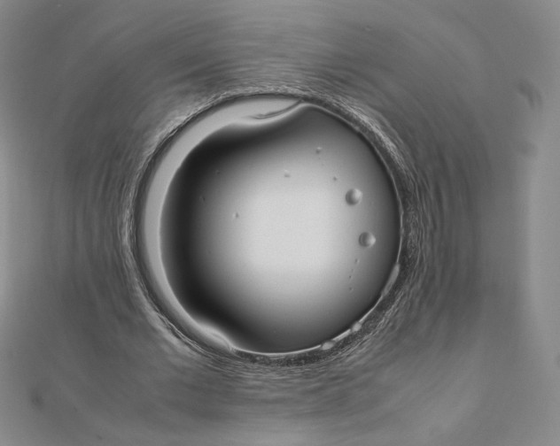 X0000112070677200908251043