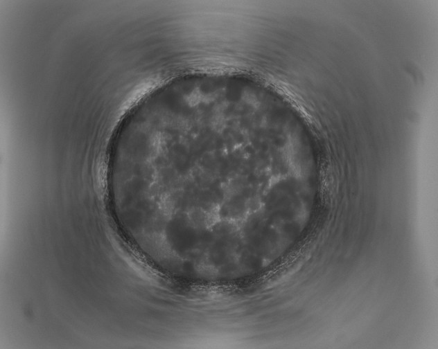 X0000112070679200908251043