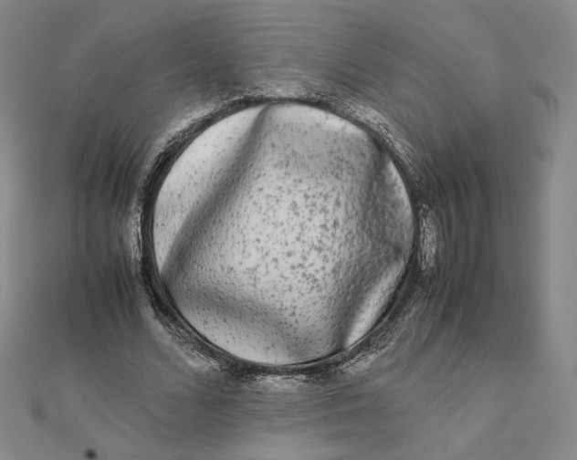X0000112070680200908251043