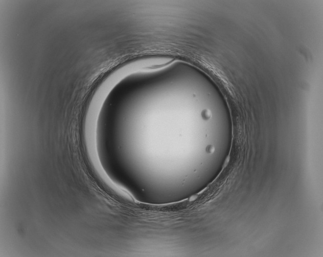X0000112070681200908251043