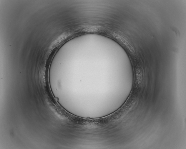 X0000112070682200908251043