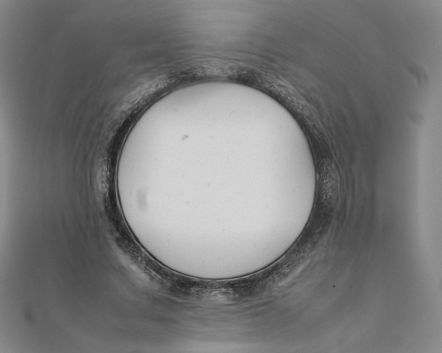 X0000112070683200908251043