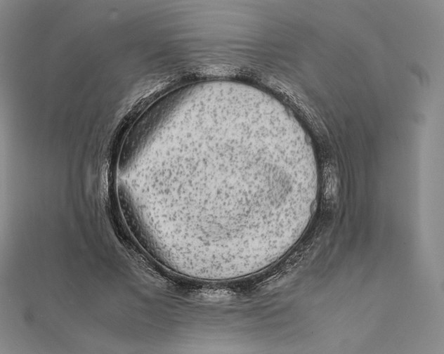 X0000112070685200908251043