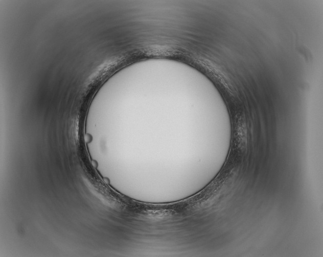 X0000112070686200908251043