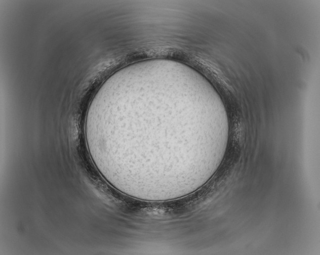 X0000112070687200908251042