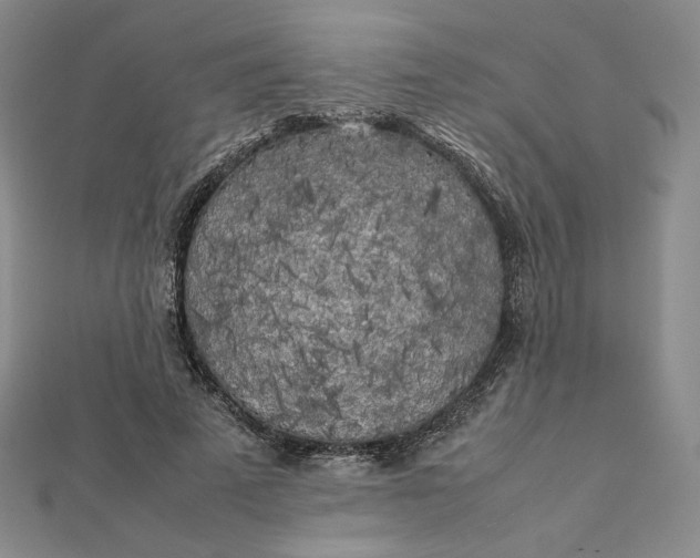 X0000112070689200908251042