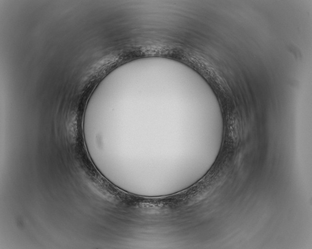 X0000112070690200908251042