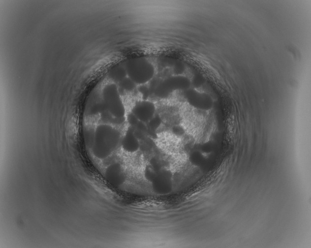 X0000112070691200908251042