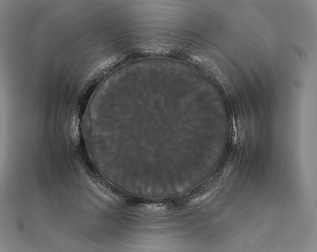 X0000112070692200908251042