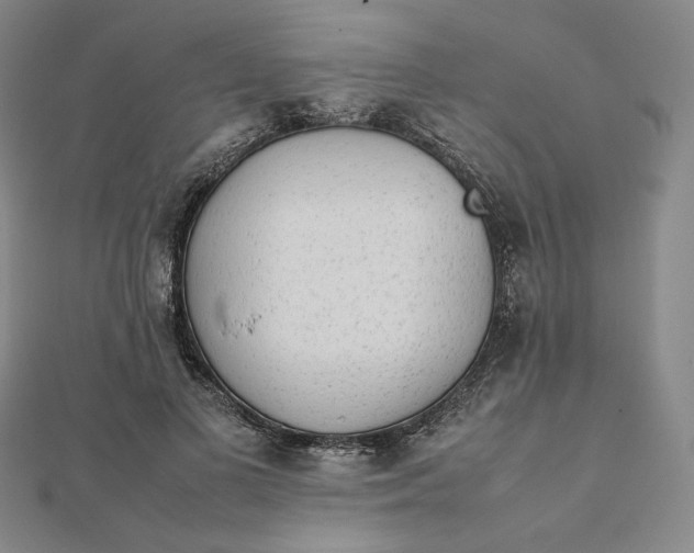 X0000112070693200908251042
