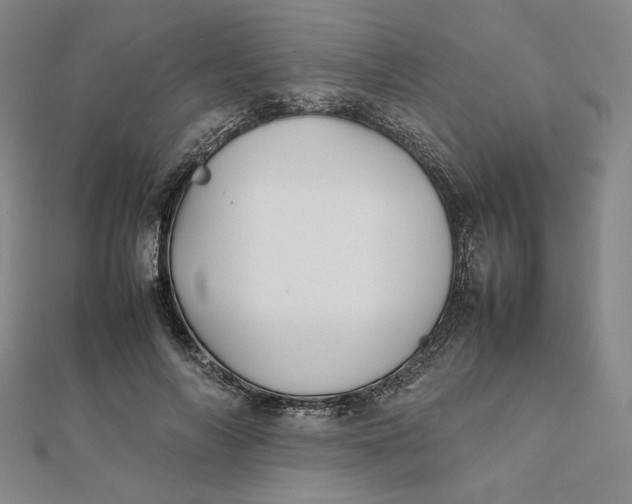X0000112070694200908251042