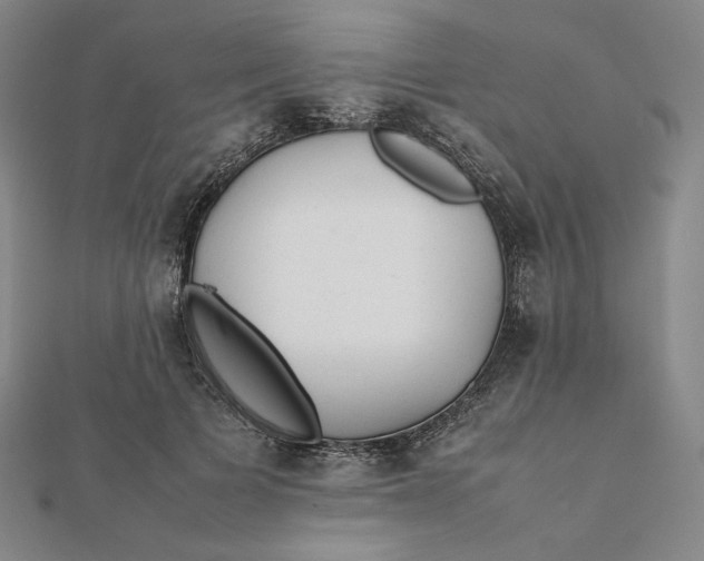 X0000112070697200908251042