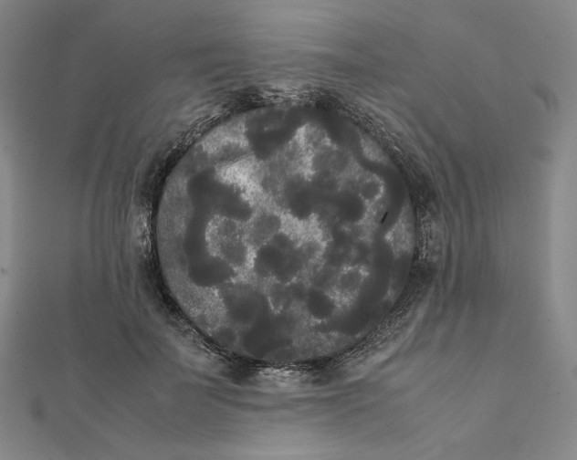 X0000112070699200908251042