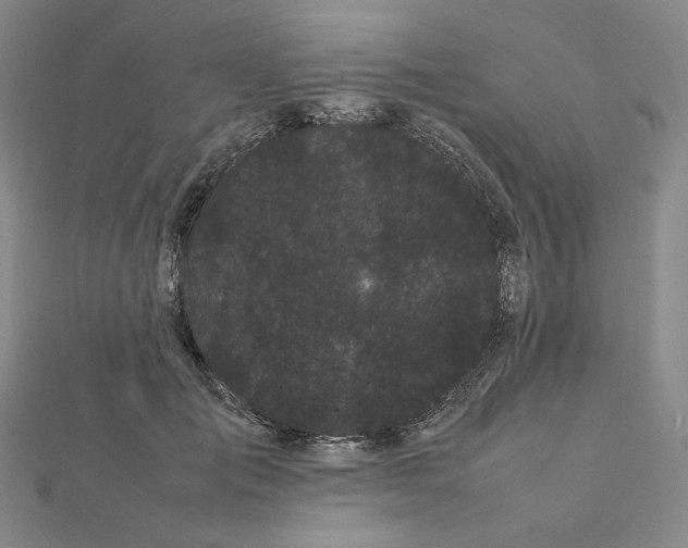 X0000112070701200908251042