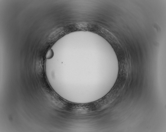 X0000112070702200908251042