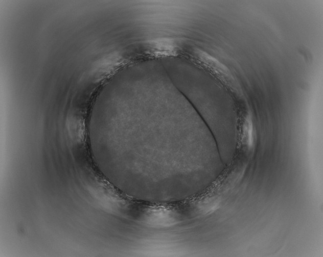 X0000112070704200908251042