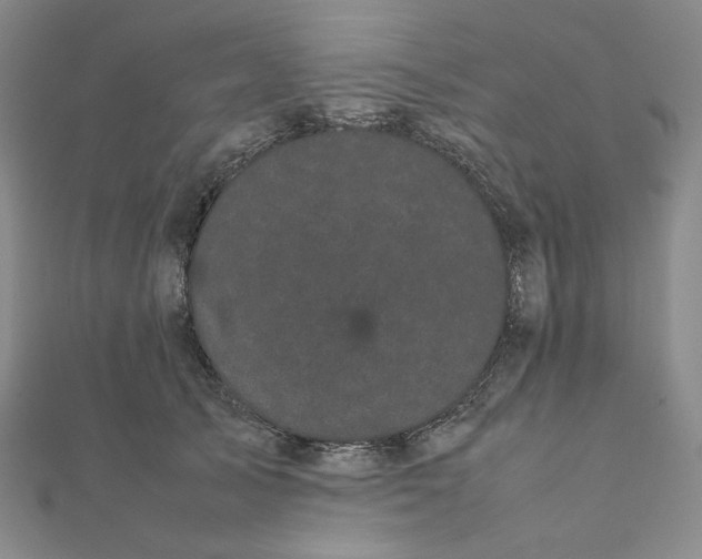 X0000112070705200908251042