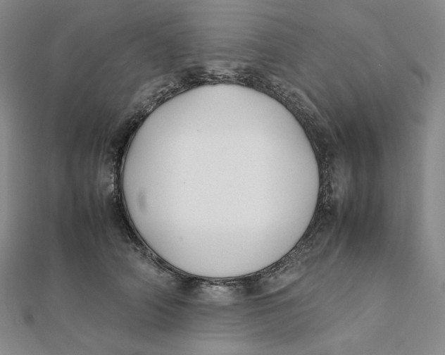 X0000112070706200908251042