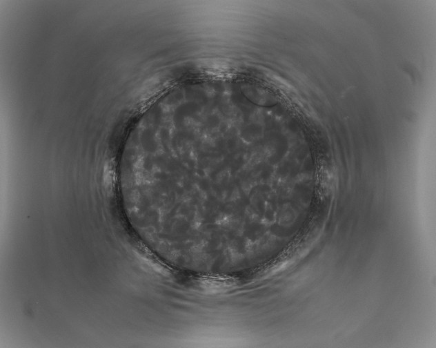 X0000112070707200908251042