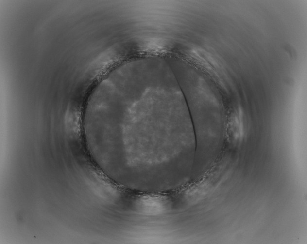 X0000112070708200908251042