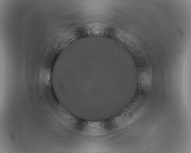X0000112070709200908251042
