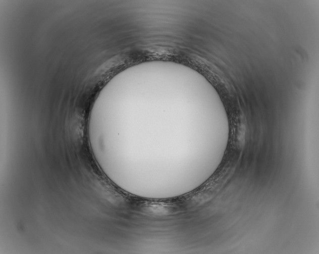 X0000112070710200908251042