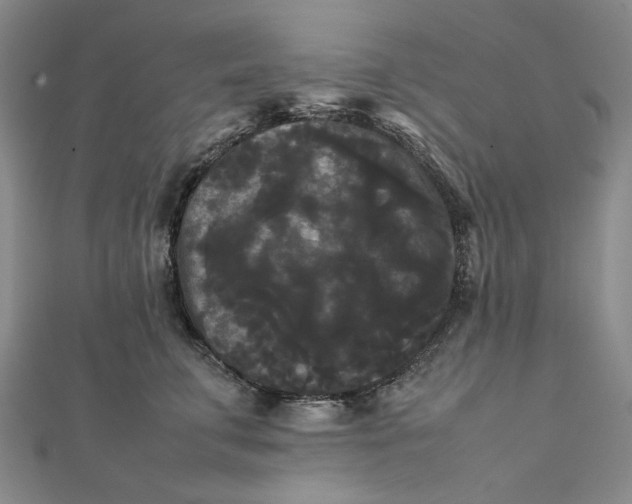 X0000112070711200908251042